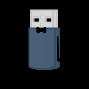 Flash Drive