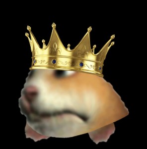 King Timmy