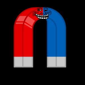 Magnet