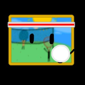 Volleyball