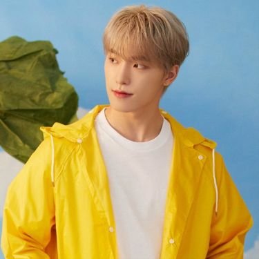 Dino - Seventeen