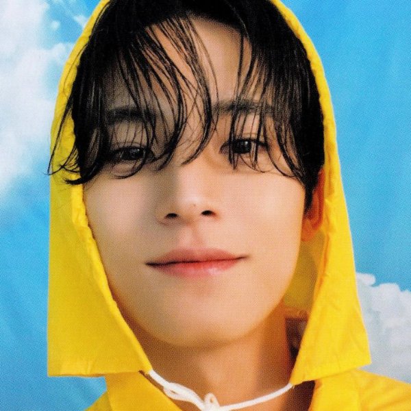 Mingyu - Seventeen