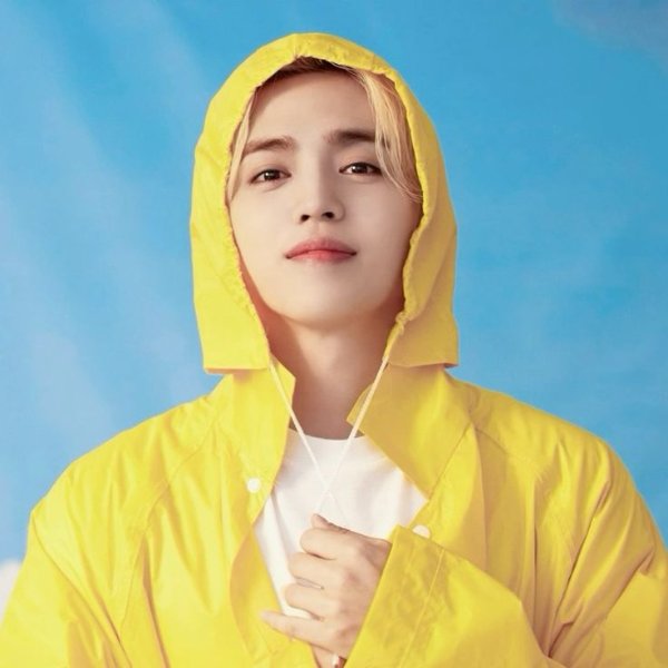 S. Coups - Seventeen
