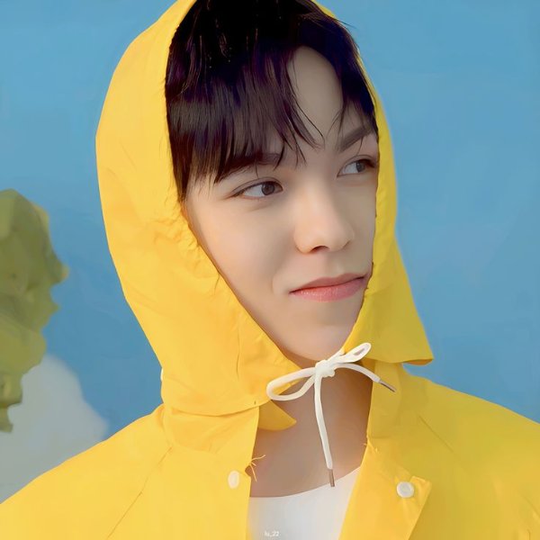 Vernon - Seventeen