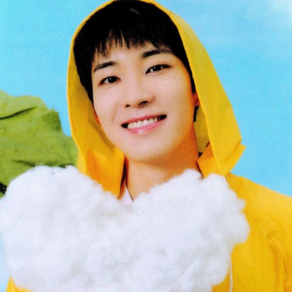 Wonwoo - Seventeen