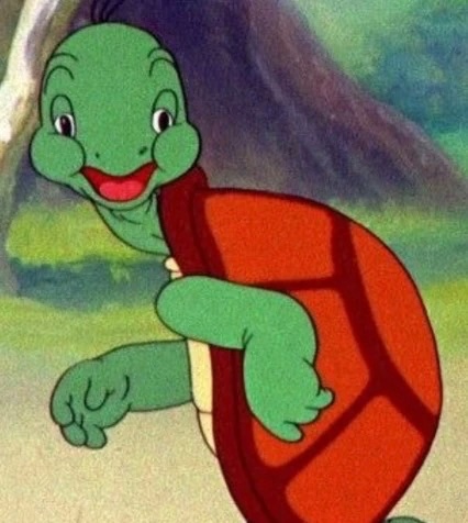Cecil Turtle