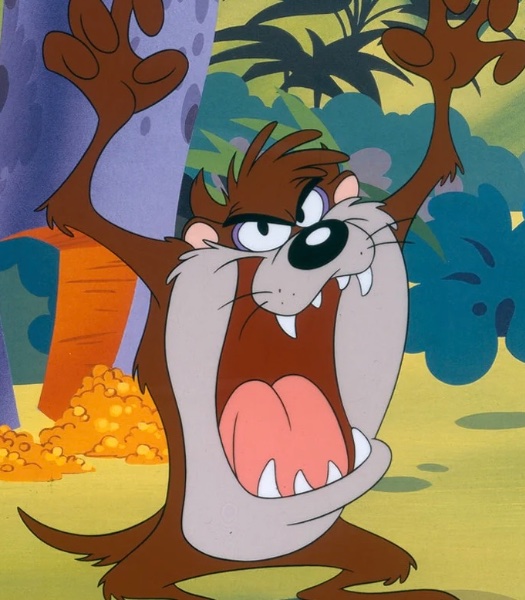 Taz