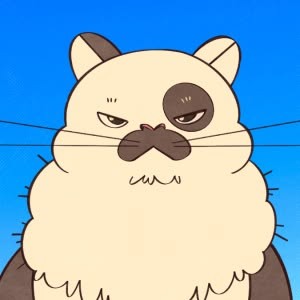 Bigotitos