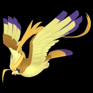 Pidgeot