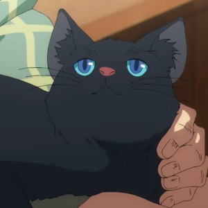 Anko