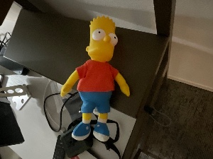 Bart