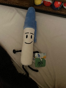Pen