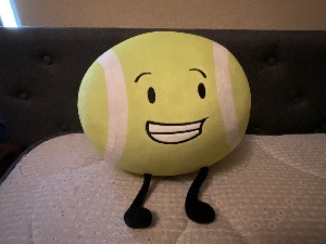 Tennis Ball