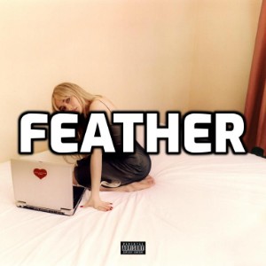 Emails i can't send fwd-Feather