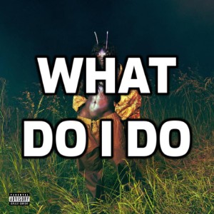 LANA-What Do I Do