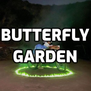 SOS (Unreleased)-Butterfly Garden