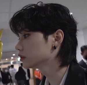 Black mullet