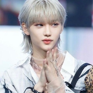 Silver mullet