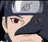 733. Shisui
