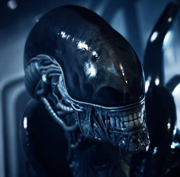 Xenomorph
