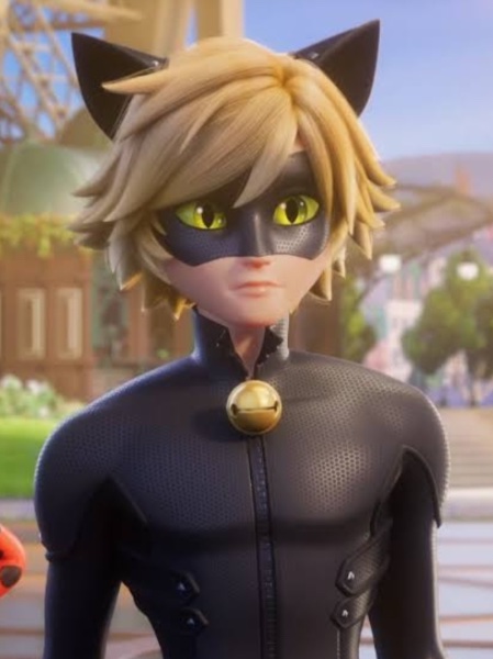 cat noir