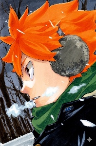 Hinata Shoyo