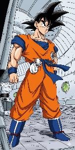 Son Goku
