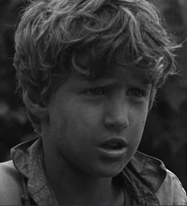 Percy (David Walsh-1963)
