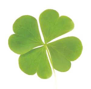 4 leaf clover