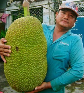 Người Đàn Ông Ôm Quả MÍt