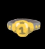Champion Belt