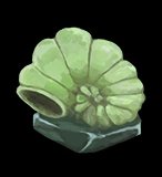 Fossilized Helix
