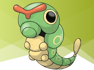 Caterpie