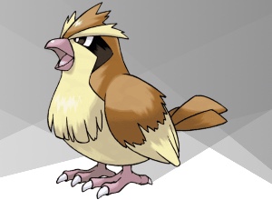Pidgey