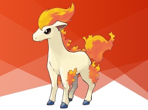 Ponyta