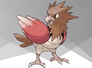 Spearow