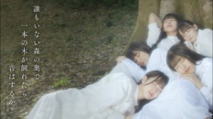Daremo Inai Mori no Oku de Ippon no Ki ga Taoretara Oto wa Suru ka