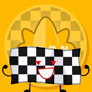 Finisher