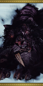 Lud and Zallen, the Kings Pets