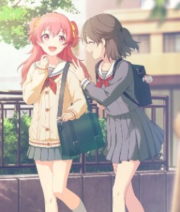 Ayuairi