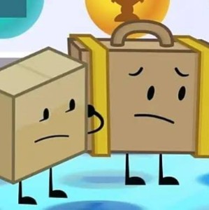 Boxcase