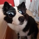 Maverick