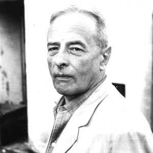 witold gombrowicz, ferdydurke
