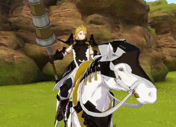 Paladin
