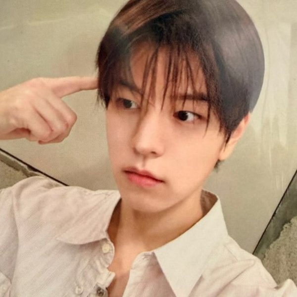 seungmin (skz)