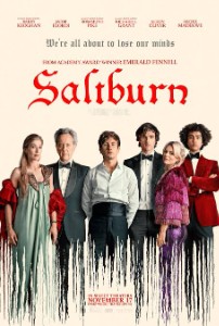 SaltBurn