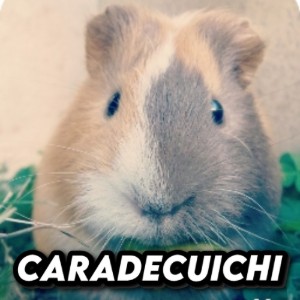 CaradeCuichi