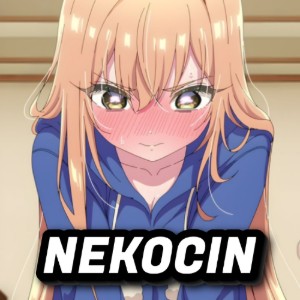 Nekocin