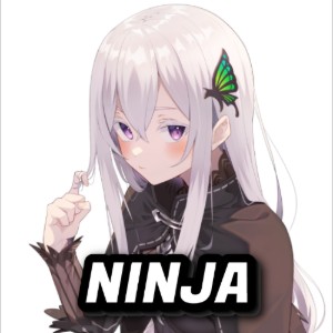 Ninja