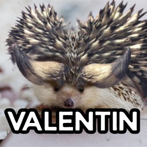 Valentin